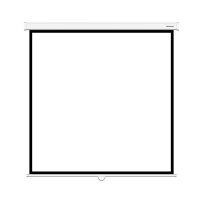 Экран, Deluxe, DLS-M244W, Настенный/потолочный, Рабочая поверхность 236х236 см., 1:1, Matt white, Бе